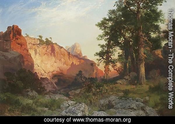 Coconino Pines and Cliff, Arizona 1902