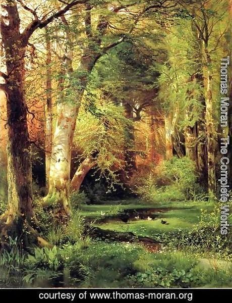 Thomas Moran - Forest Scene