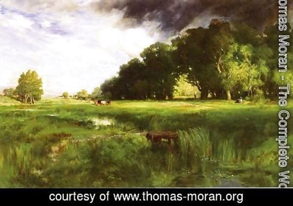 Thomas Moran - Summer Squall